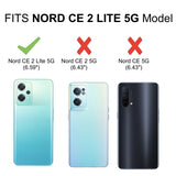 FAD-E Edge to Edge Tempered Glass for OnePlus Nord CE 2 Lite 5G (Matte Transparent)